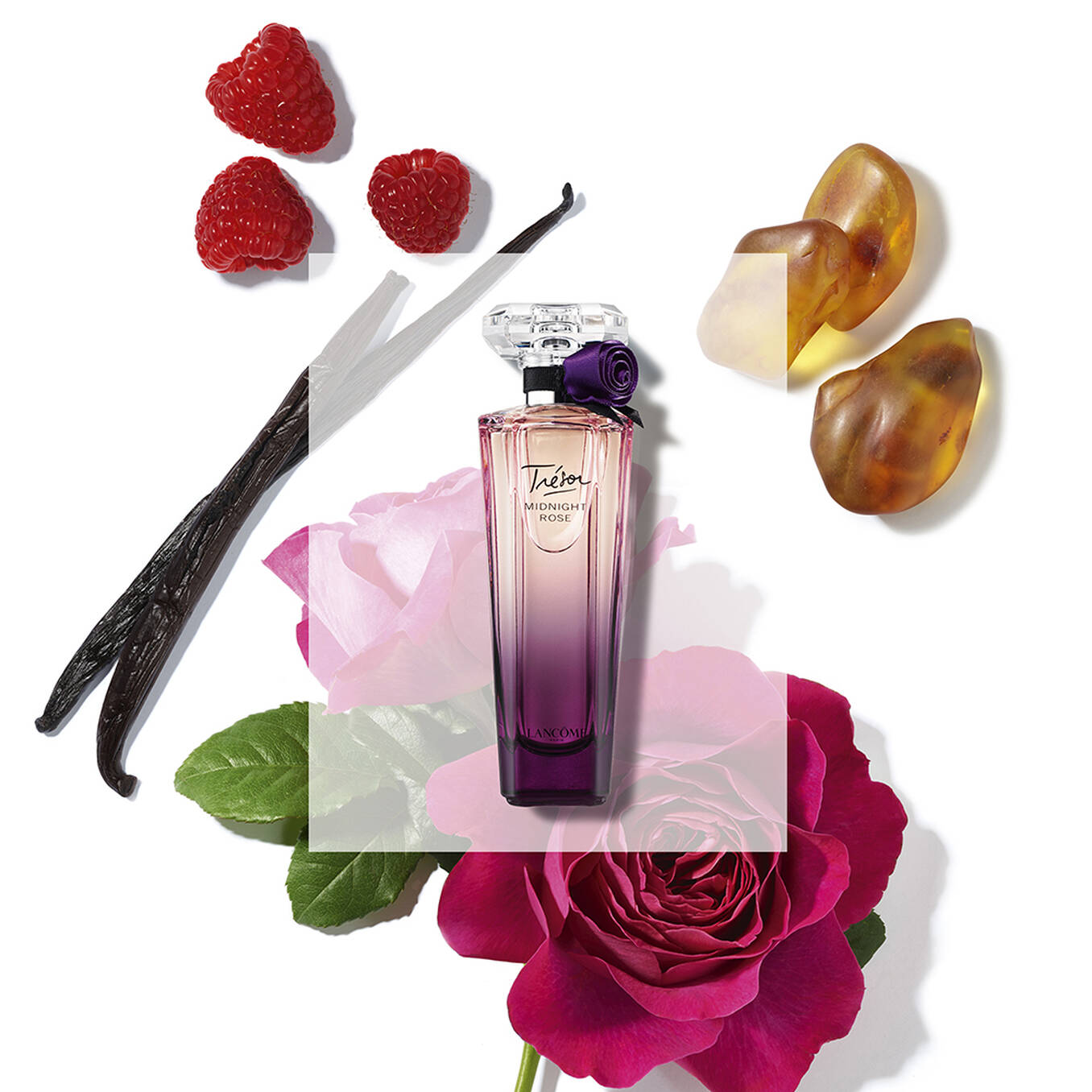 Trésor Midnight Rose Eau de Parfum