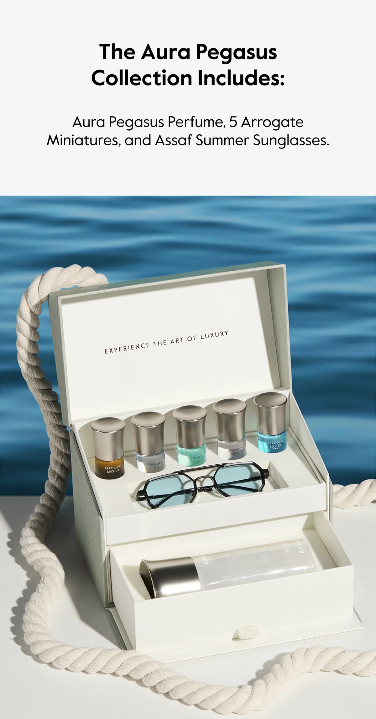 Assaf AURA COLLECTION 35 For Men
