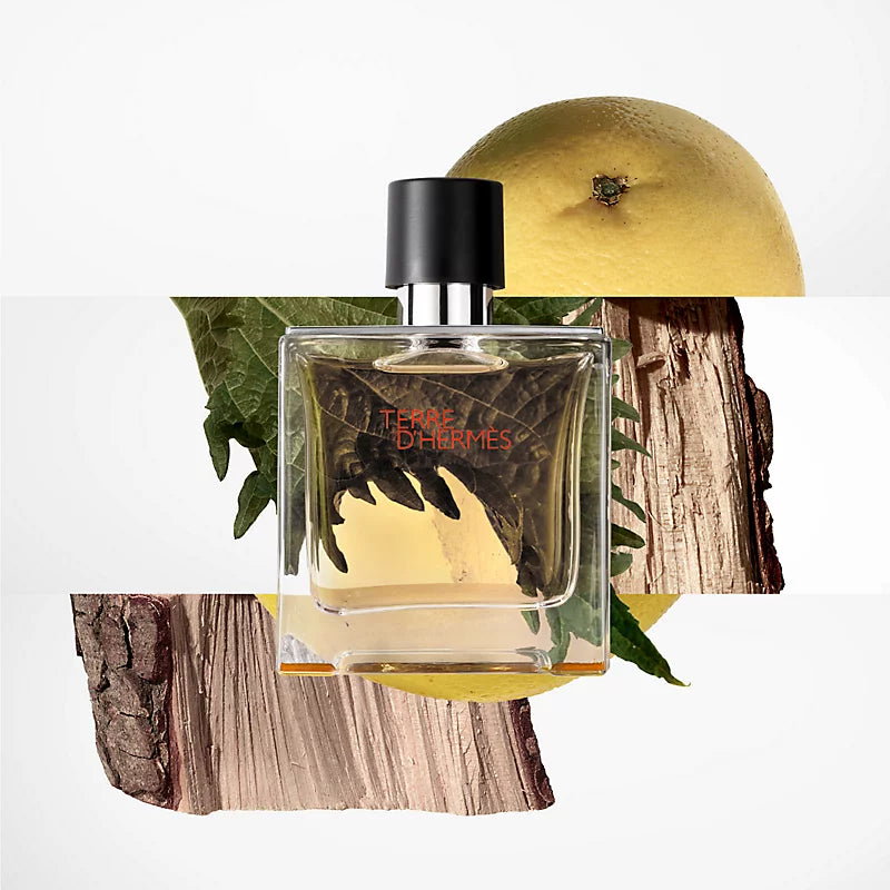 Terre d'Hermès Parfum For Him