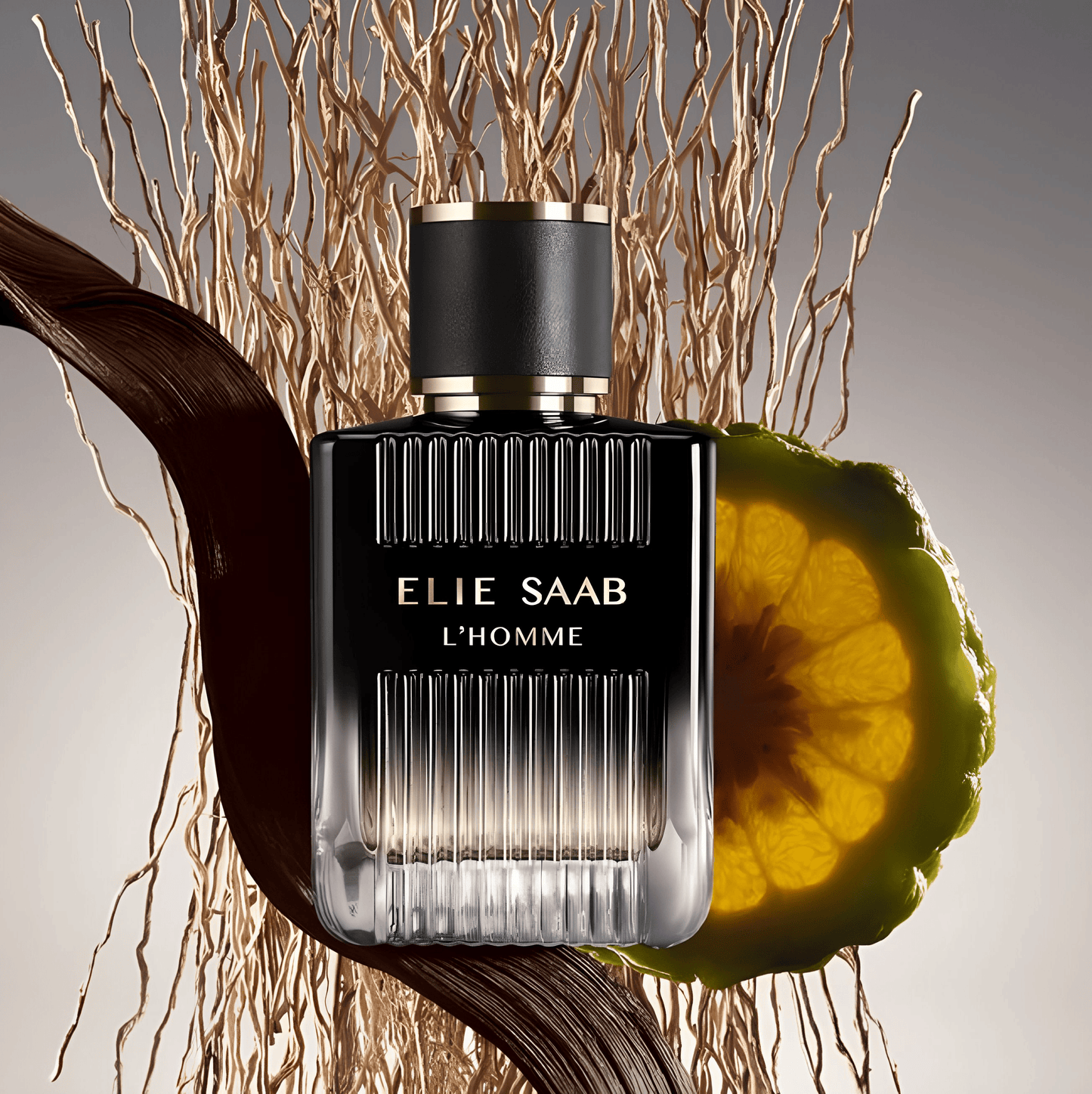 Elie Saab l'Homme Eau de Parfum