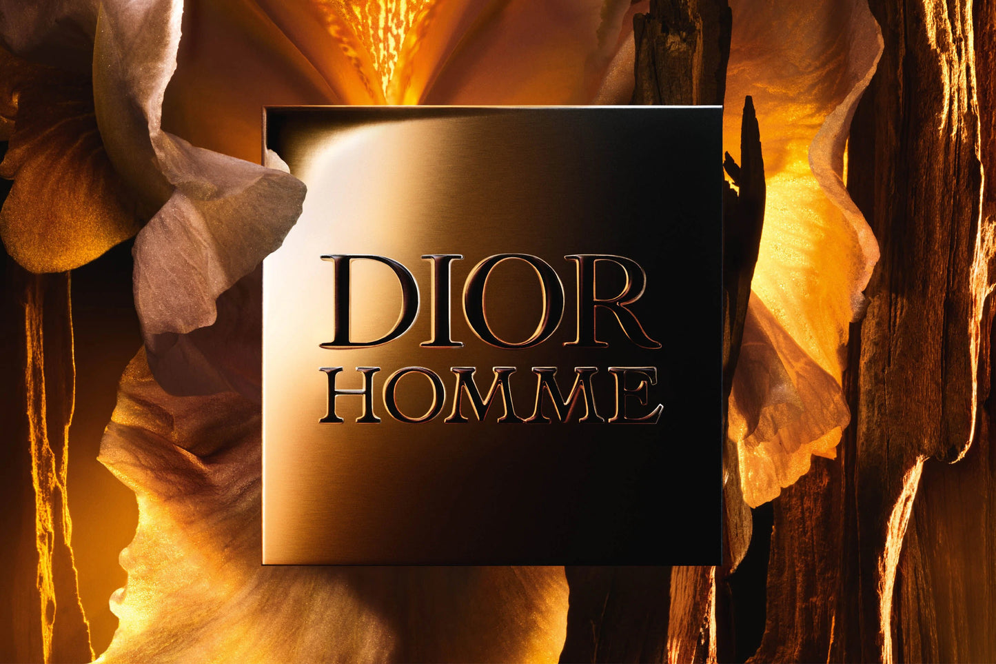 Dior Homme Parfum For Him