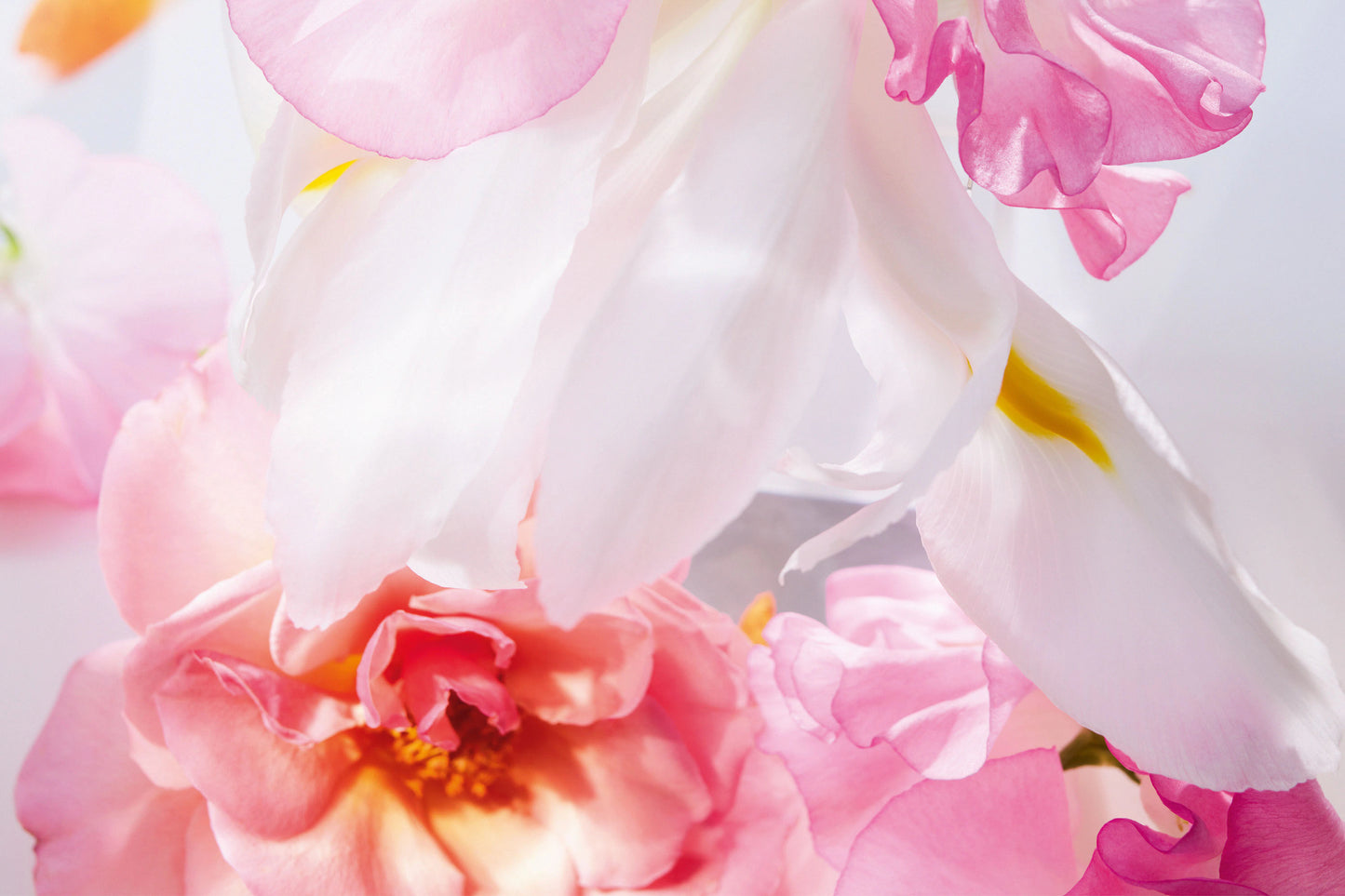 Miss Dior Eau de Parfum