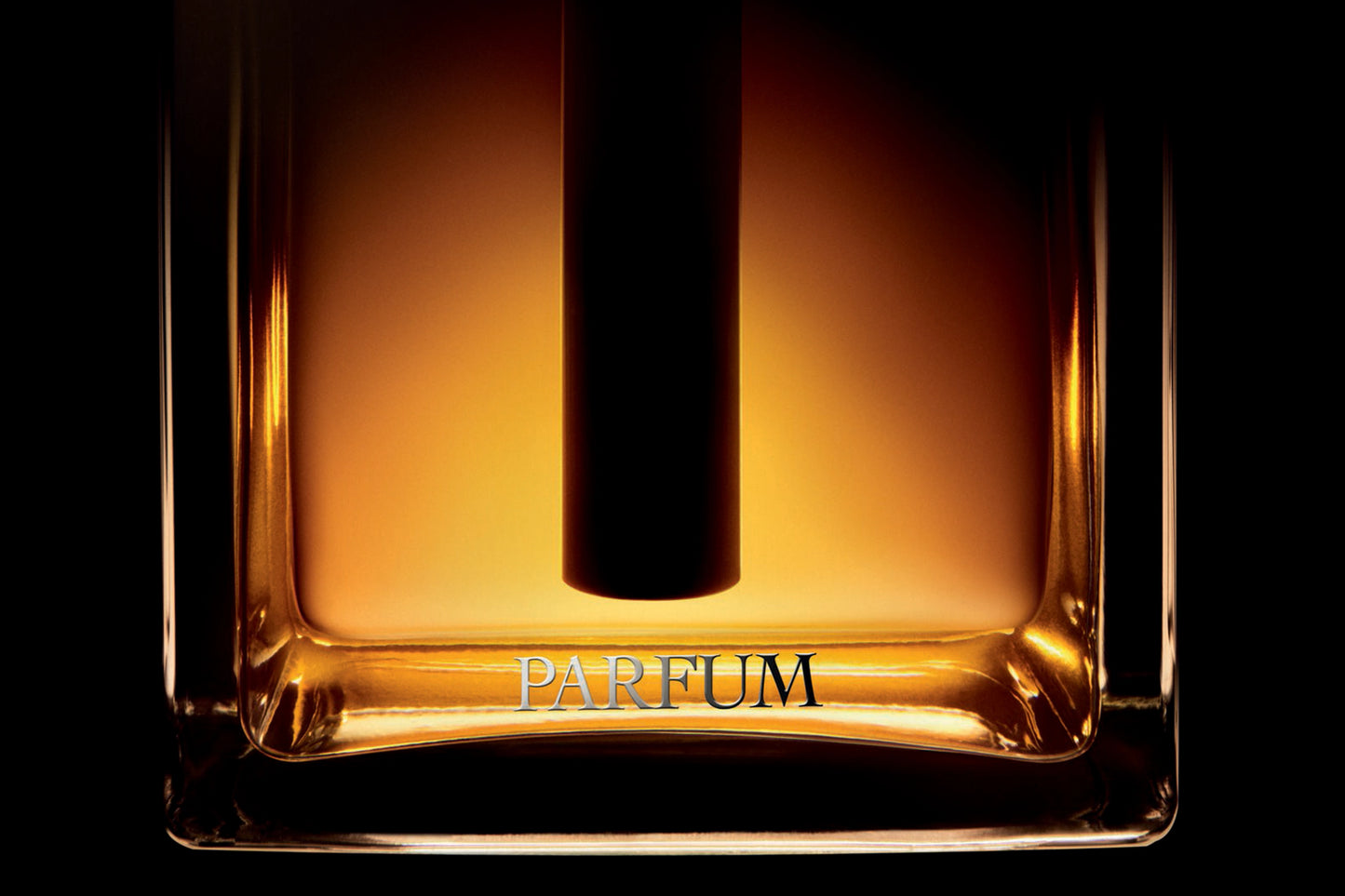 Dior Homme Parfum For Him