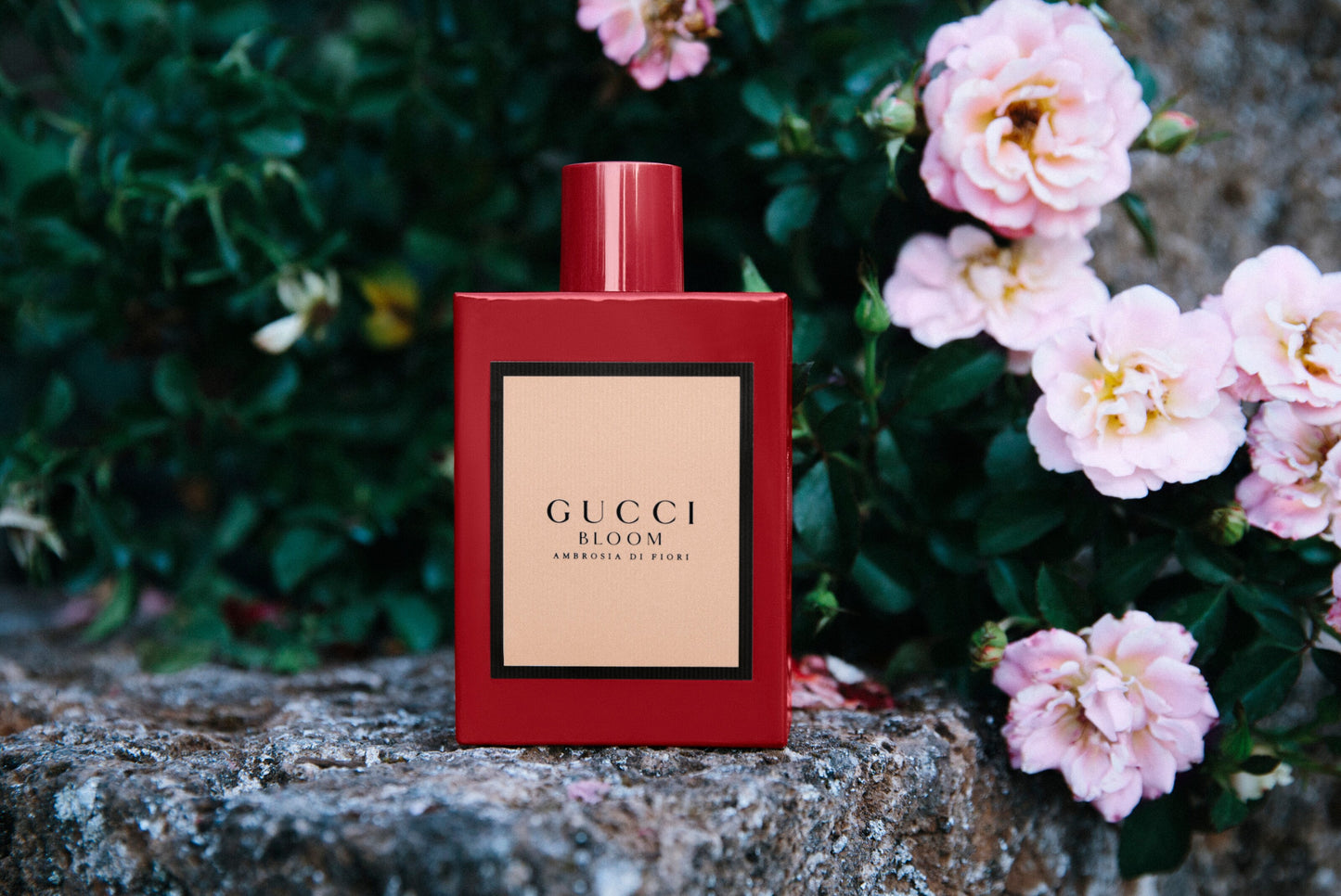 Gucci Bloom Ambrosia Di Fiori