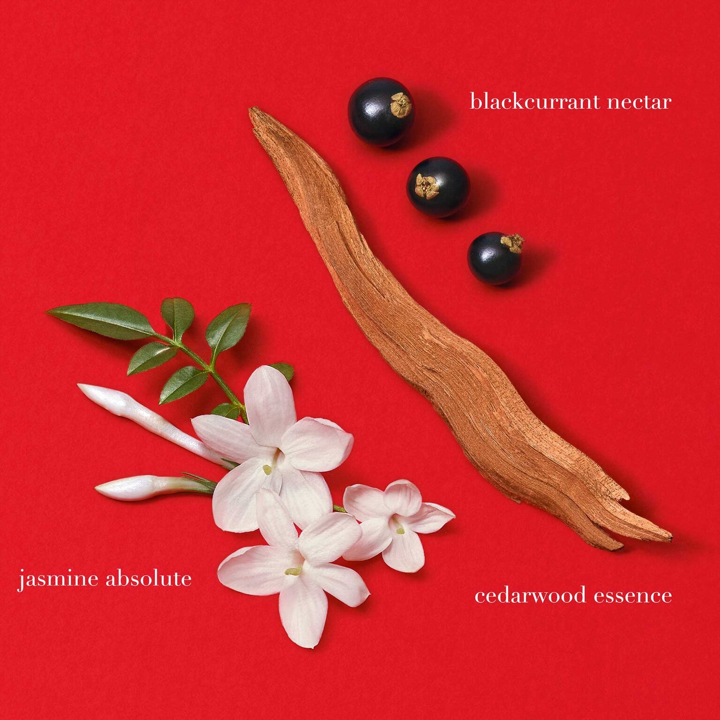 Sì Passione Eau de Parfum For Her