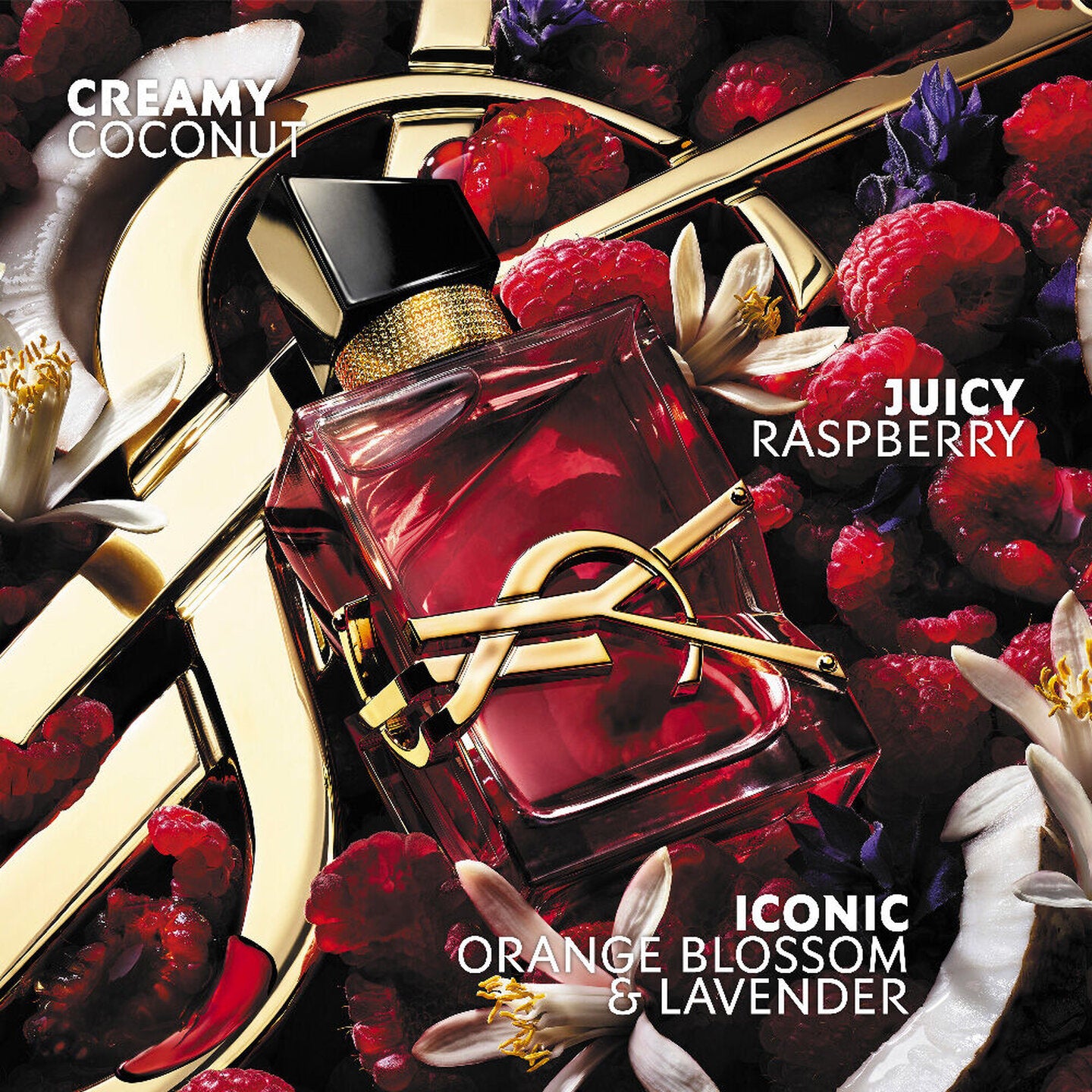 YSL Libre Berry Crush