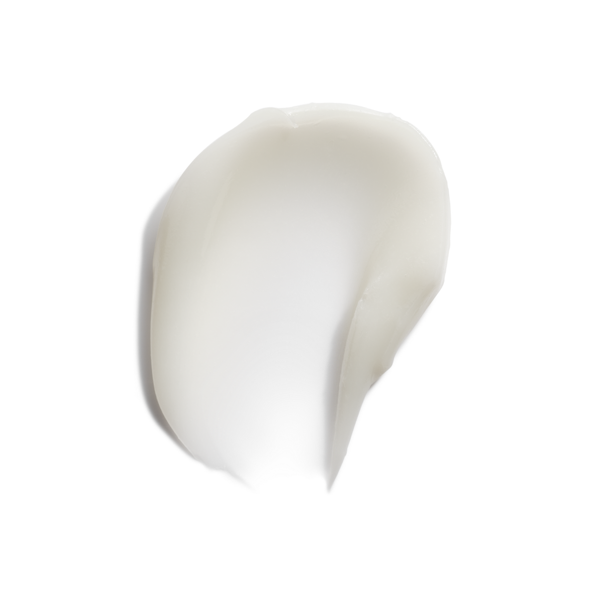 Squalane + Amino Acids Lip Balm