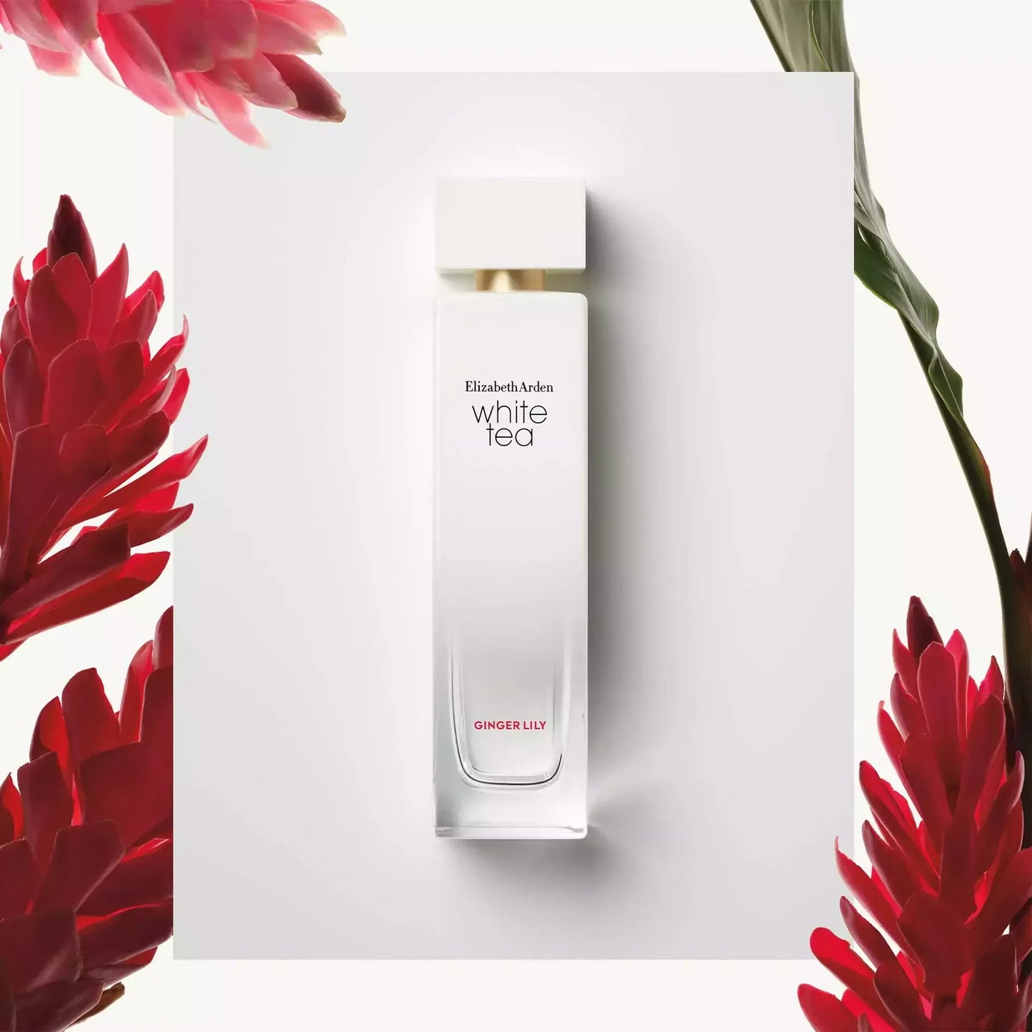 White Tea Ginger Lily Eau de Toilette